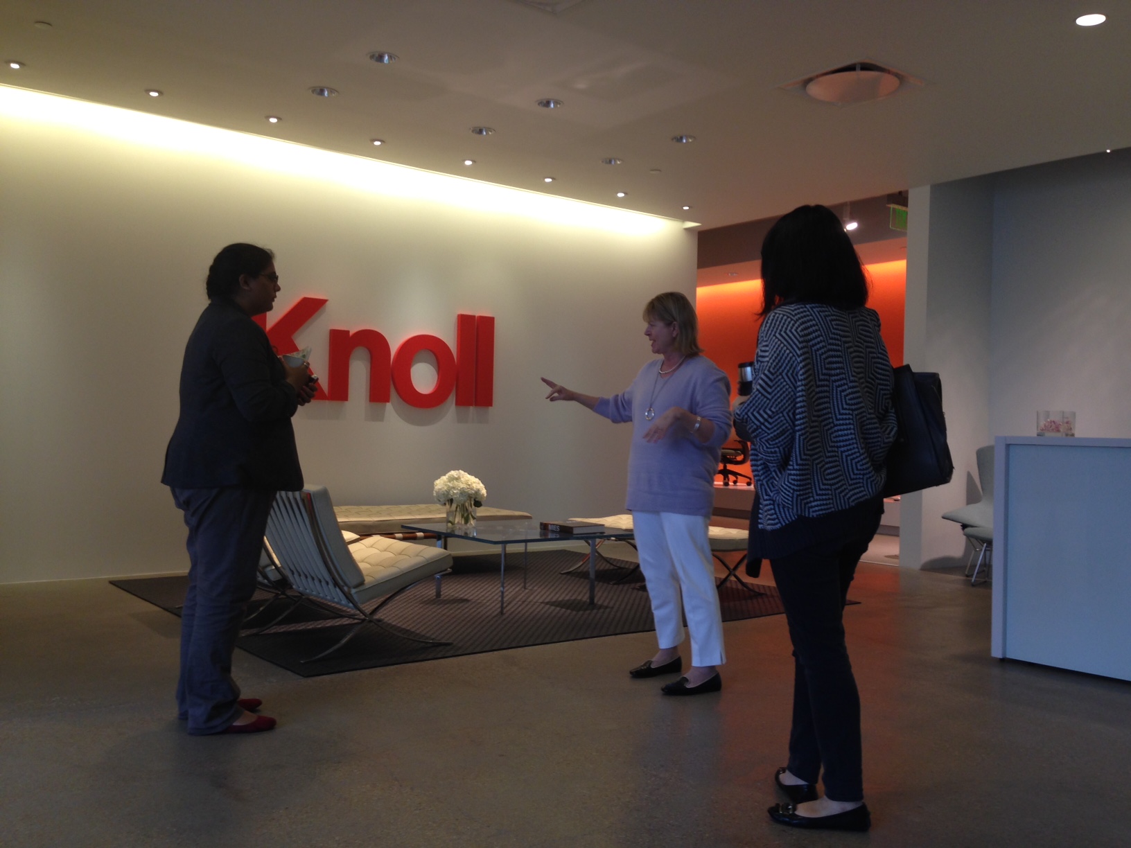 Student Mentoring: Historical Perspective at Knoll