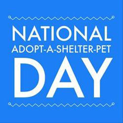 National Adopt a Shelter Pet Day